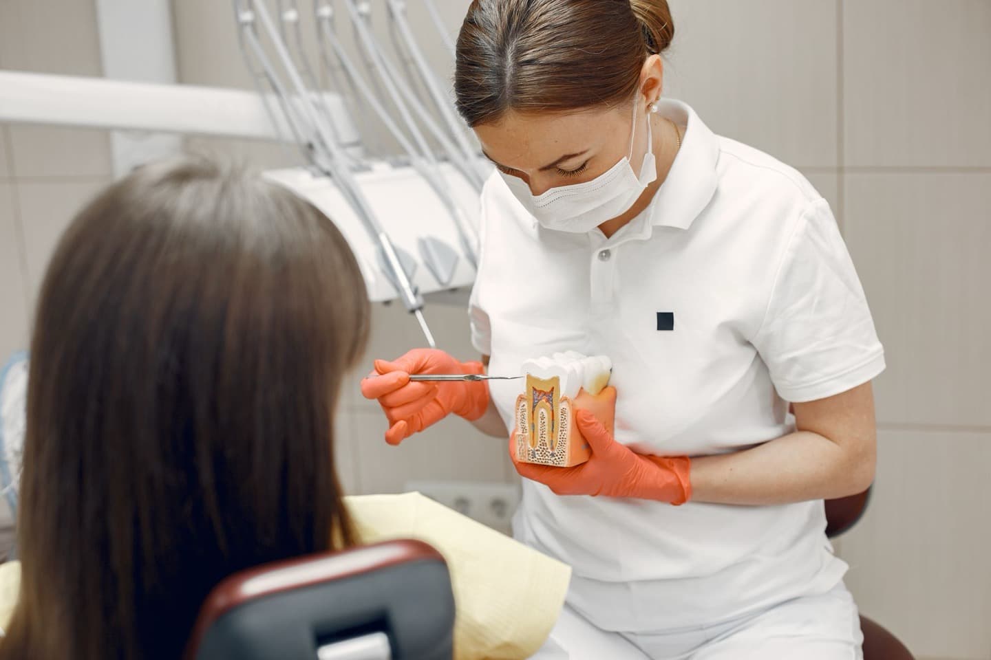 A dentist explaining treatment options to a patient using a tooth model in a consultation room